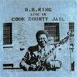 bb king cook county jail.jpg